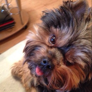 Марина Подкопаева