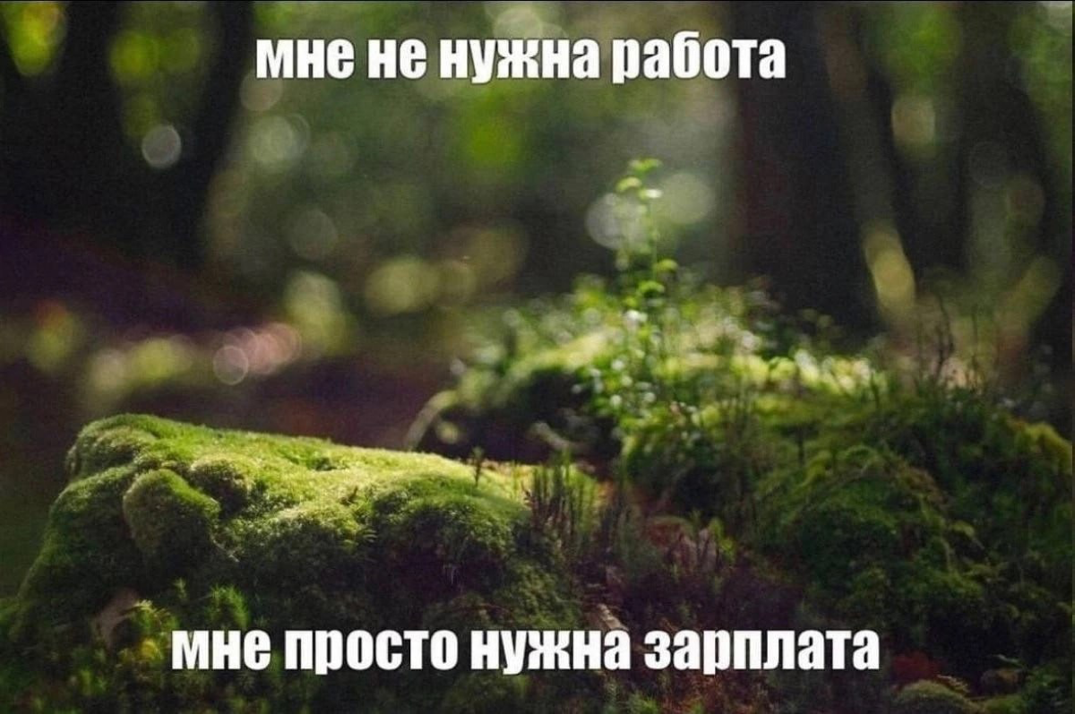 #мемдня до зп осталось 2 дня, коллеги, держу в курсе | Сетка — социальная сеть от hh.ru