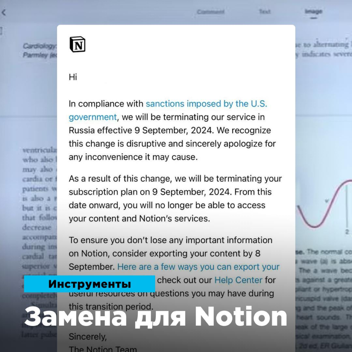 Альтернативы Notion для переезда | Сетка — социальная сеть от hh.ru