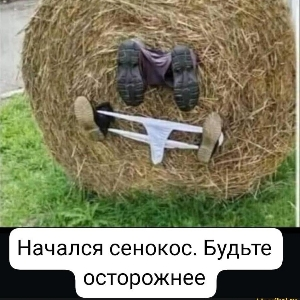 Дмитрий Толкач