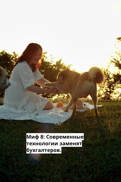 9 мифов о профессии Бухгалтер. | Сетка — социальная сеть от hh.ru