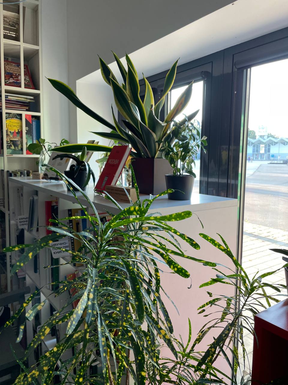 На что хочу сходить в этом году на ММКЯ — и что предлагаю посетить #авторам?
Вся программа находится здесь, я отбирала то, что мне самой может быть интересно | Сетка — социальная сеть от hh.ru