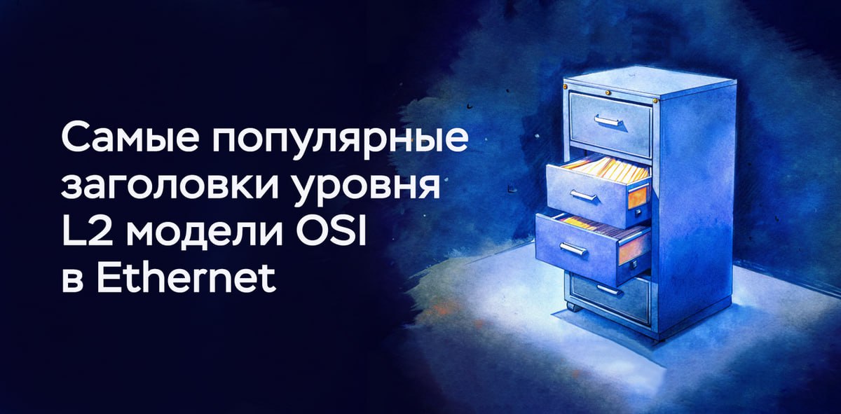 Сложно о простом. Самые популярные заголовки уровня L2 модели OSI в Ethernet
https://habr.com/ru/companies/timeweb/articles/836038/ | Сетка — социальная сеть от hh.ru