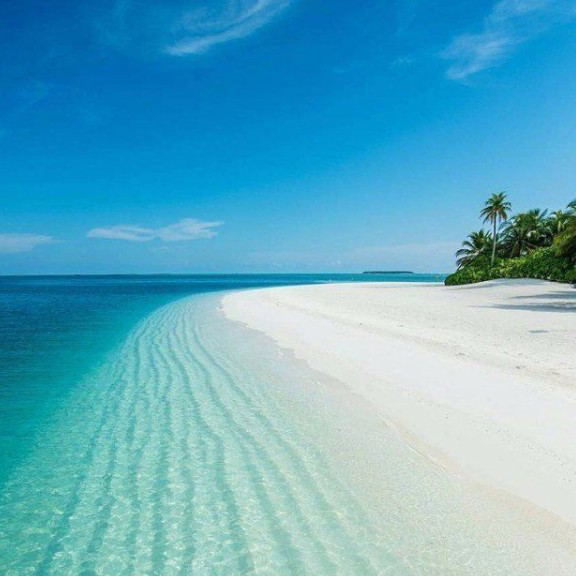 Руслан Мяутов