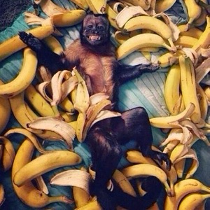 Виктор Зарывахин