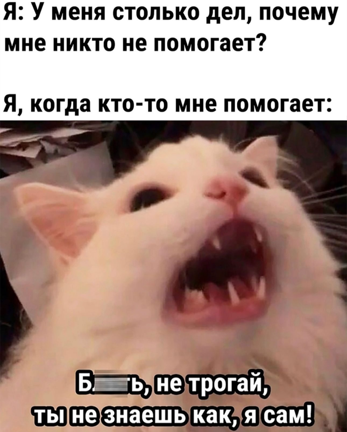 КАК НАЧАТЬ ДЕЛЕГИРОВАТЬ? | Сетка — социальная сеть от hh.ru