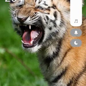 Александр Королев