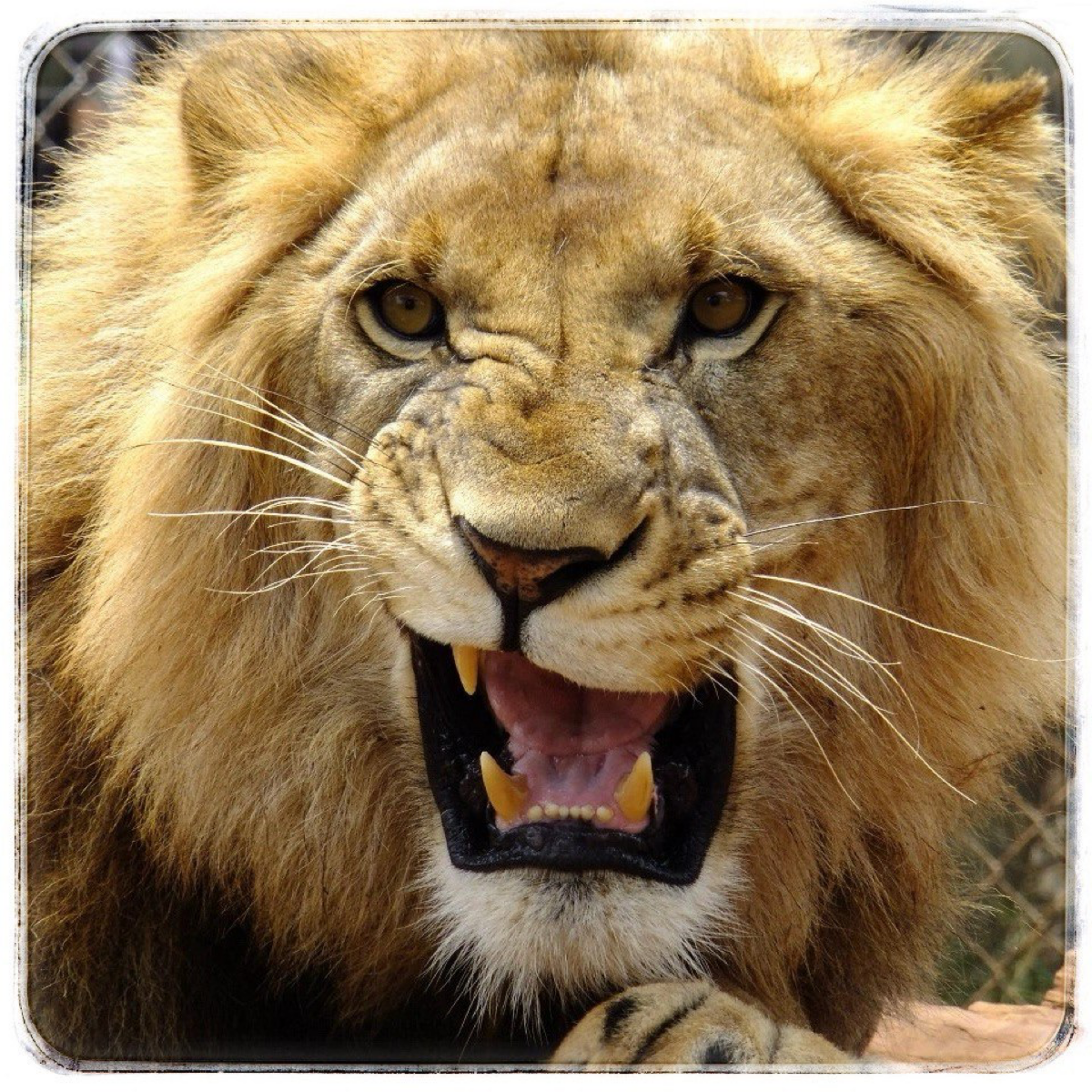 Кто управляет персоналом?
Интересное дело, друзья, у подавляющего большинства директоров и собственников бытует мнение, что персоналом управляют HR-ы🙈
Линейные руководители заняты Планами и текущими з... | Сетка — социальная сеть от hh.ru