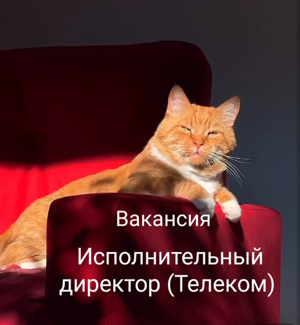 #вакансия
ИСПОЛНИТЕЛЬНЫЙ ДИРЕКТОР в телеком, Крымск или Славянск-на-Кубани | Сетка — социальная сеть от hh.ru