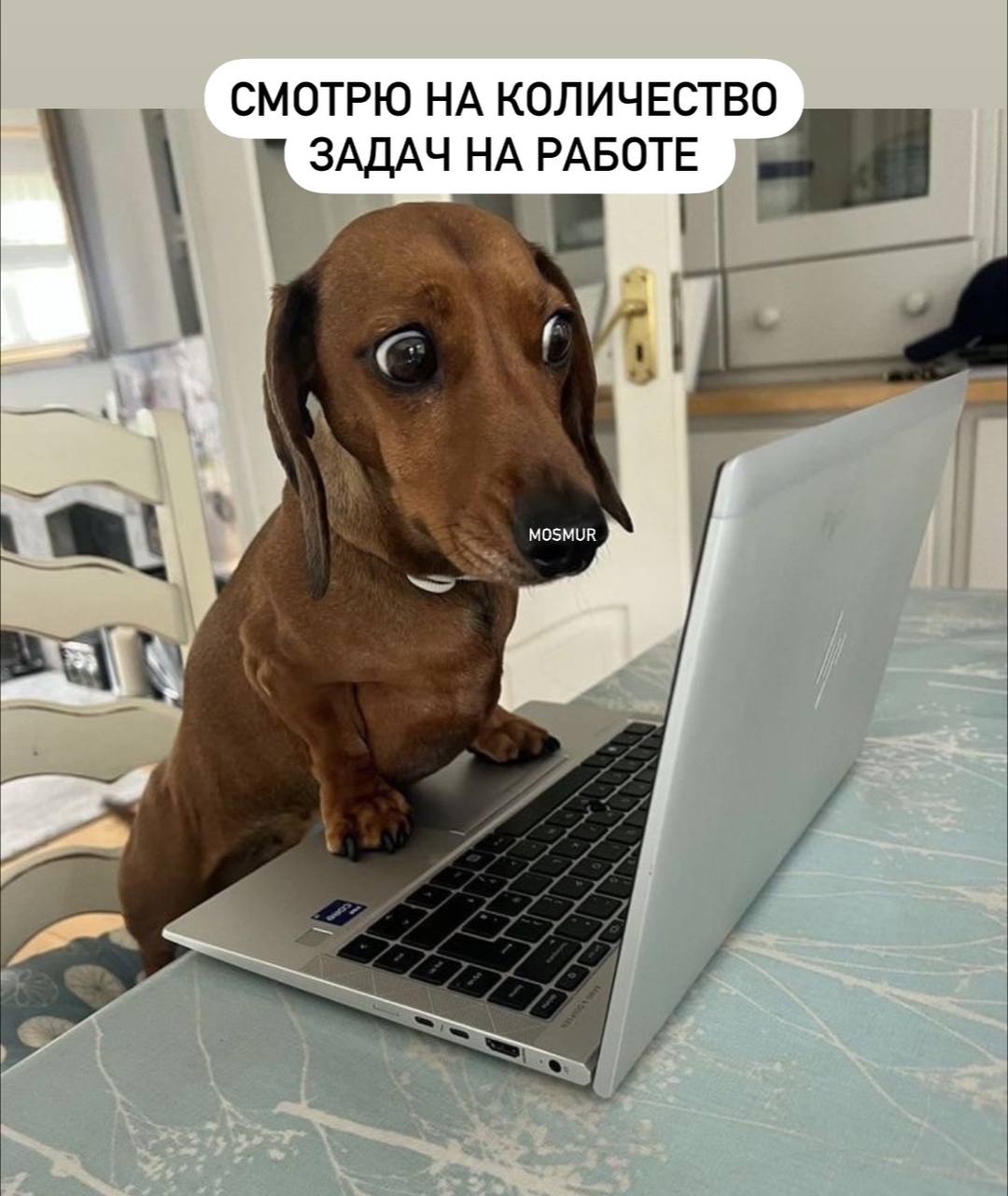 Снять проклятие желания уйтис работы
Когда я читаю подобное о рабочей культуре в Азии, мурашки бегают. И, к сожалению, многие в нашей стране также прокляты | Сетка — социальная сеть от hh.ru