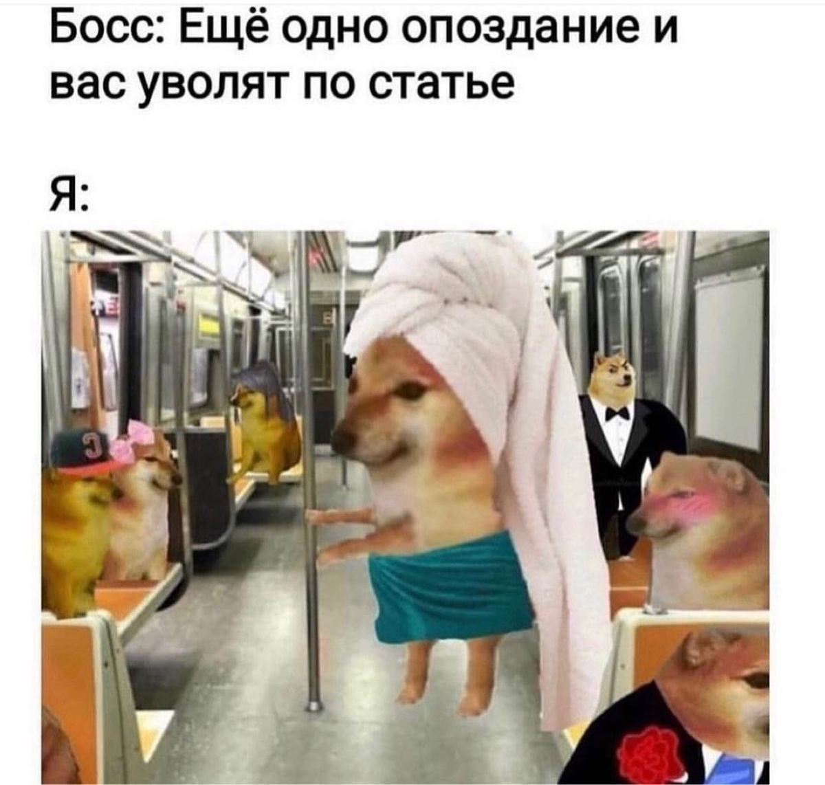 Я 2 года работала на удаленке и сейчас второй год из офиса, что могу сказать….
Лично мне, лучше ездить офис, чтобы коллеги видели мое недовольное лицо 😅 | Сетка — социальная сеть от hh.ru