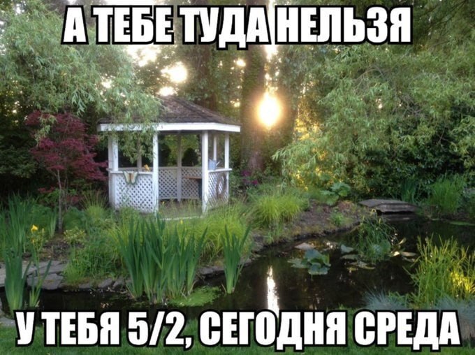 ➡️ отправь в телеге мем коллеге | Сетка — социальная сеть от hh.ru