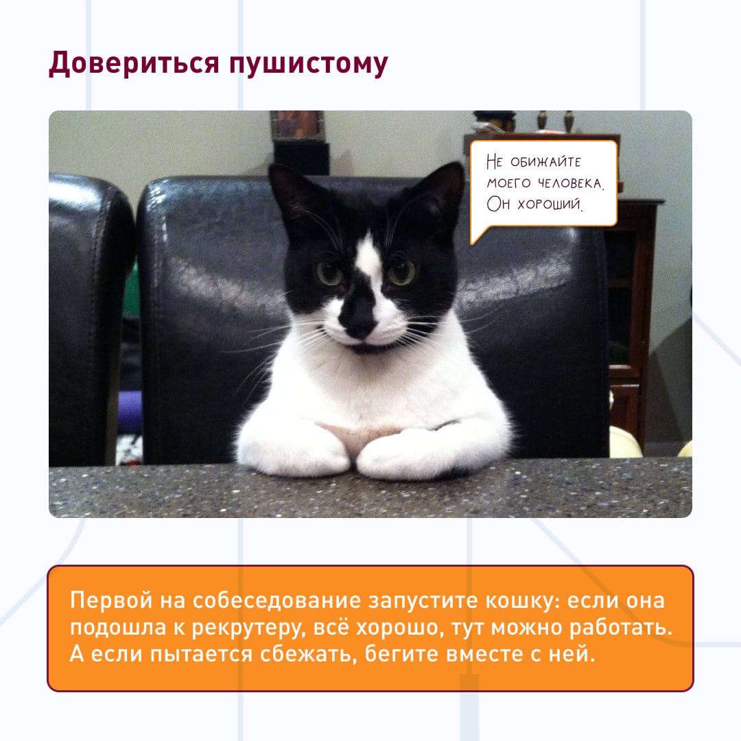 🤷‍♂️Подходит ли мне работа в этой компании?
Чтобы определиться, надо погадать! В карточках — четыре способа, как это сделать с результатом 💯
Рекомендуем обратить пристальное внимание на последний | Сетка — социальная сеть от hh.ru