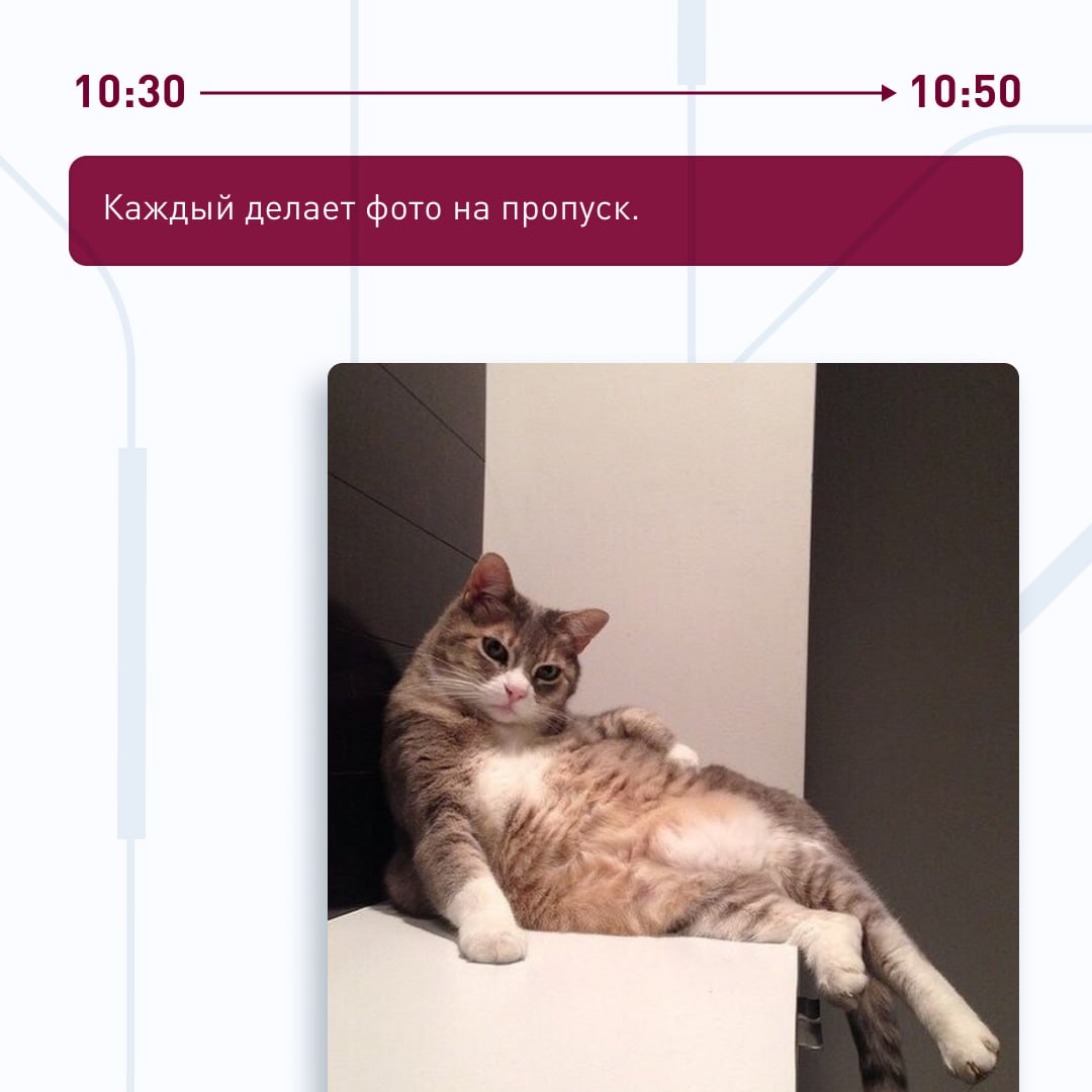 🕐 Как обычно проходит первый рабочий день в ПГК?
По чёткому плану, который помогает новичку быстро оформить документы и комфортно погрузиться в новую работу | Сетка — социальная сеть от hh.ru