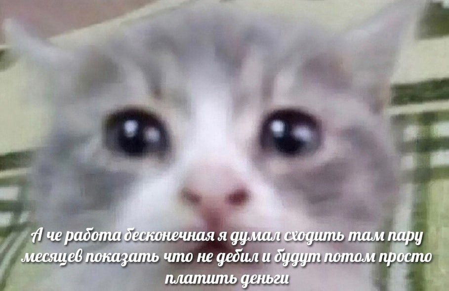 ➡️ отправь в телеге мем коллеге | Сетка — социальная сеть от hh.ru