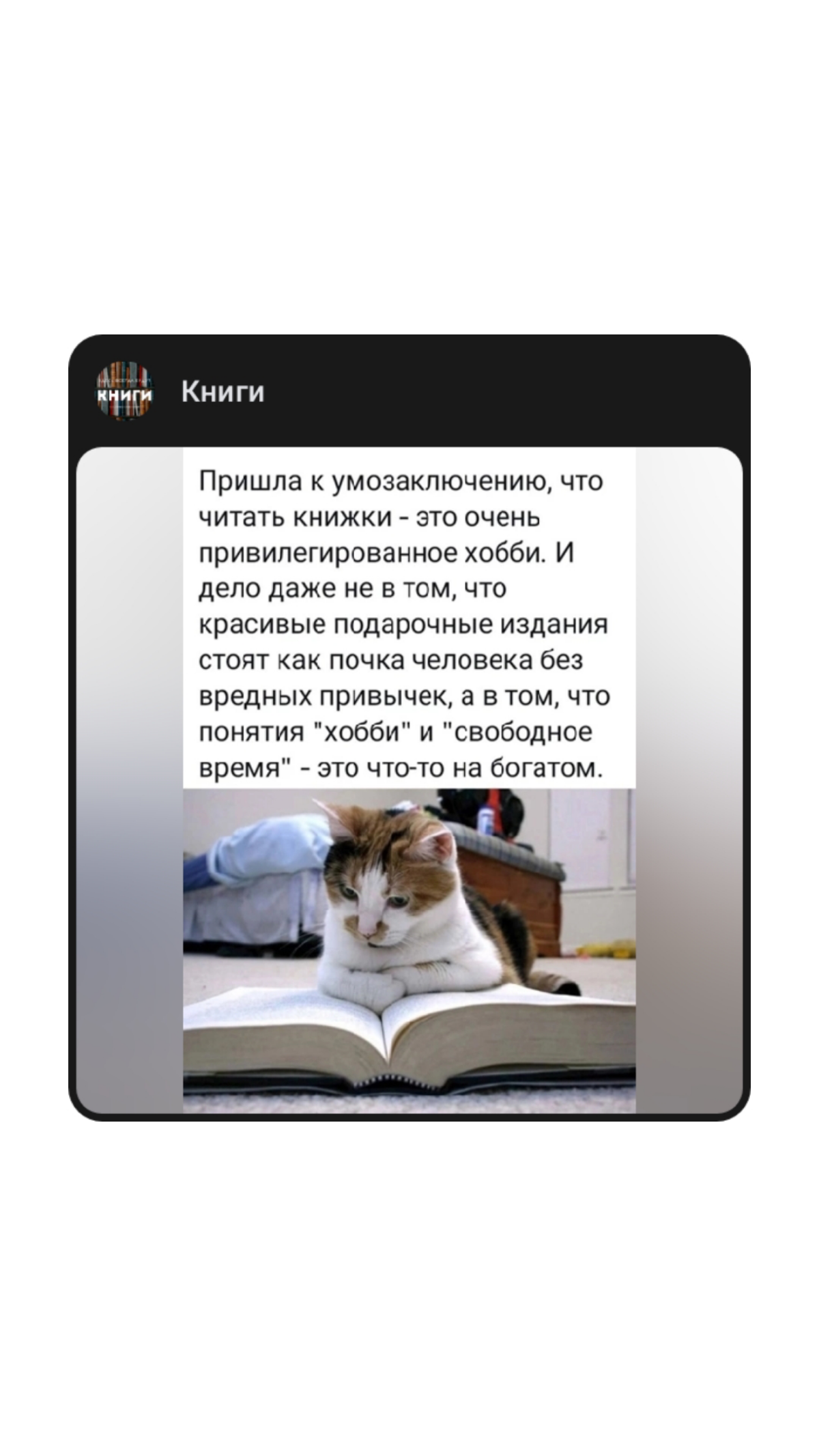 Москва# тёплая осень#рекомендации#протеже | Сетка — социальная сеть от hh.ru