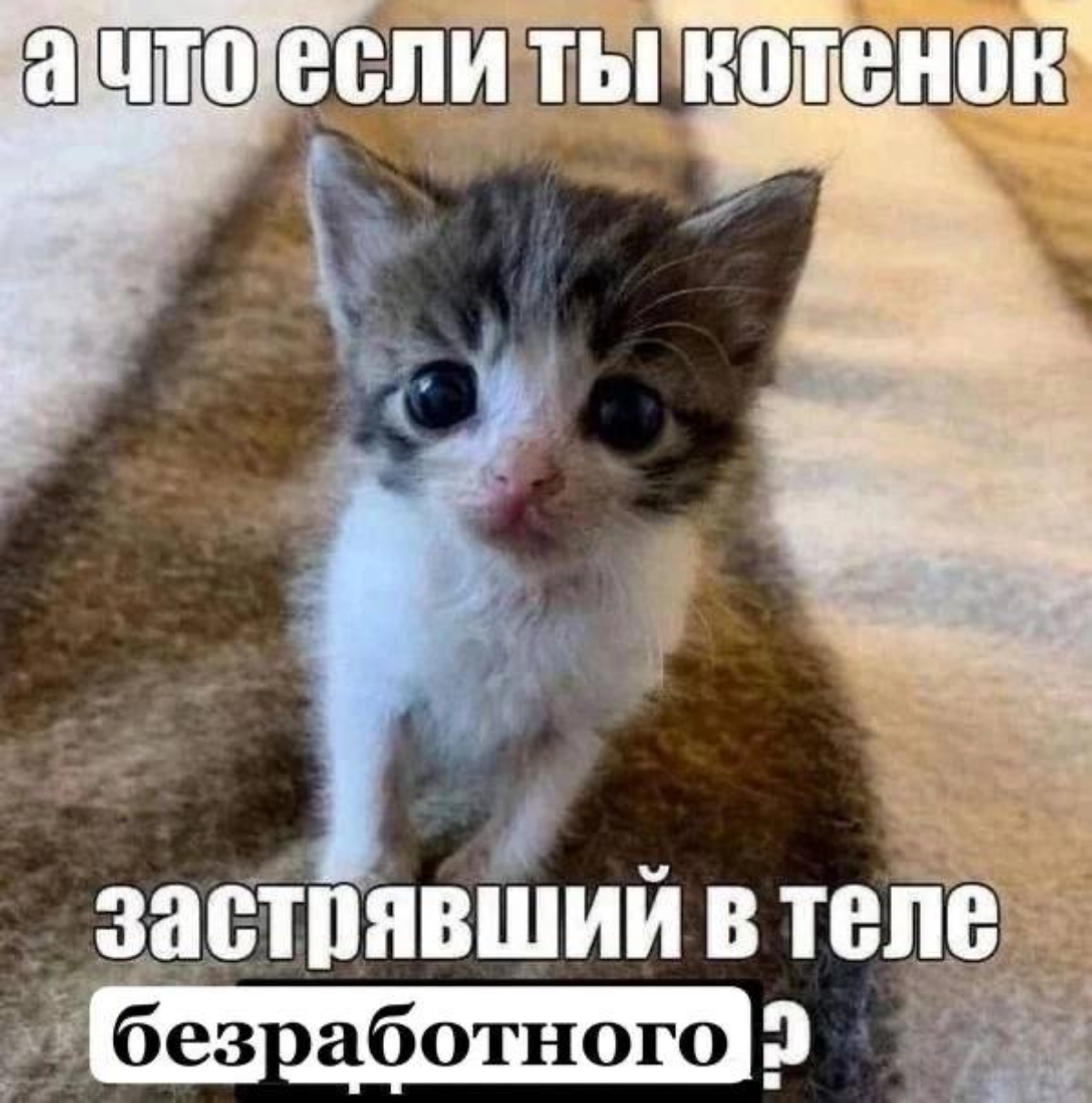 Так, это произошло!
Я ухожу из Ростелекома и начинаю искать интересные предложения по работе.
Если у вас есть нестандартные задачи, горят сроки и нужно принять ответственные решения - обращайтесь. | Сетка — социальная сеть от hh.ru