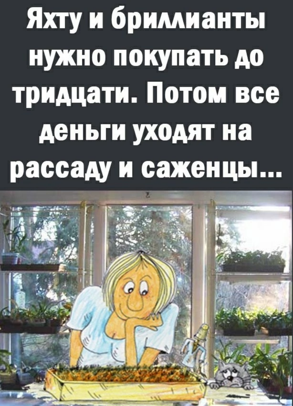 И на зубы! | Сетка — социальная сеть от hh.ru