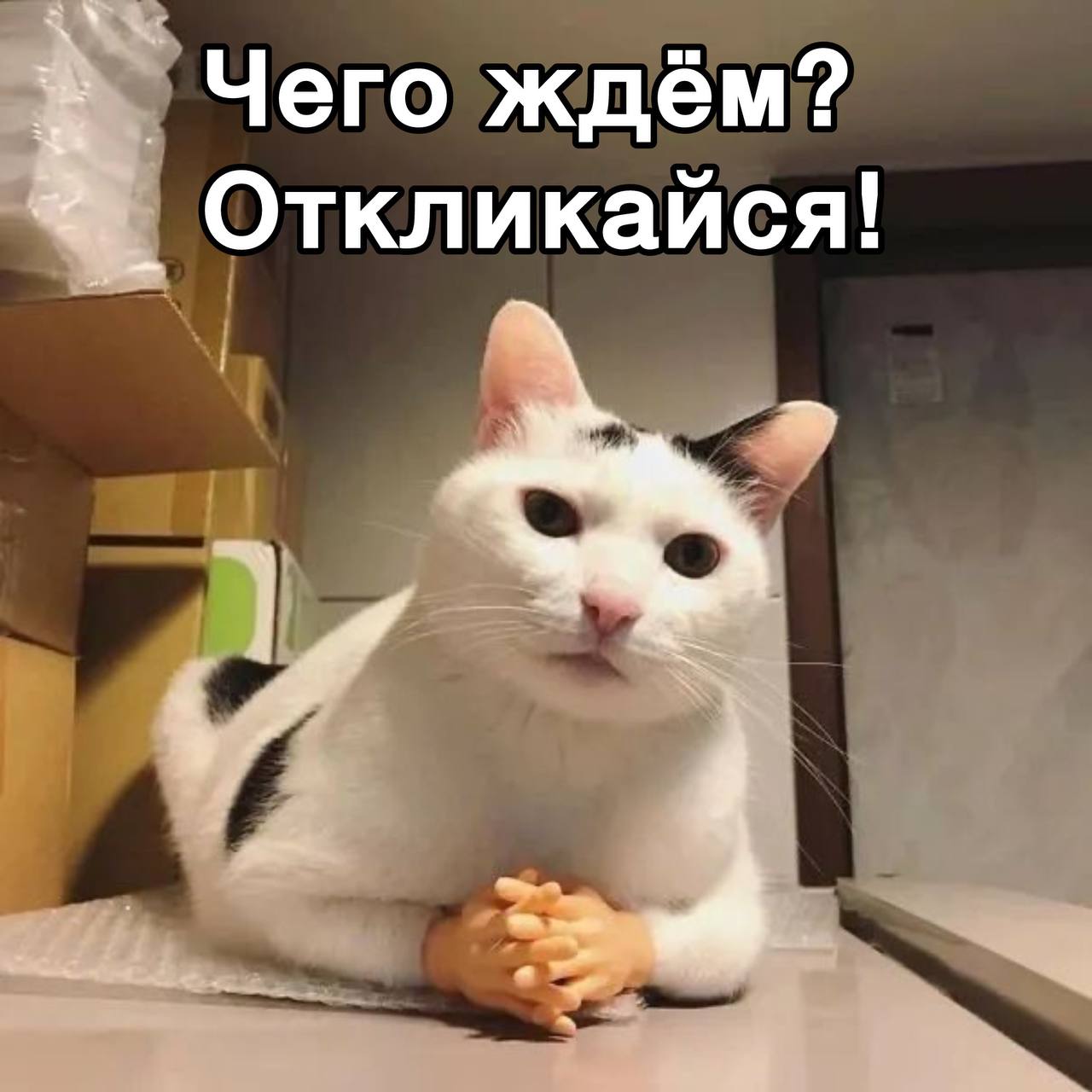 Аккредитованная IT компания "ЭлАйти" в поисках Аналитика 1С:УХ
Работа в Казани в комфортном офисе, предоставляем необходимое для работы тех.оборудование.
ЗП от 90.000 до 175 | Сетка — социальная сеть от hh.ru