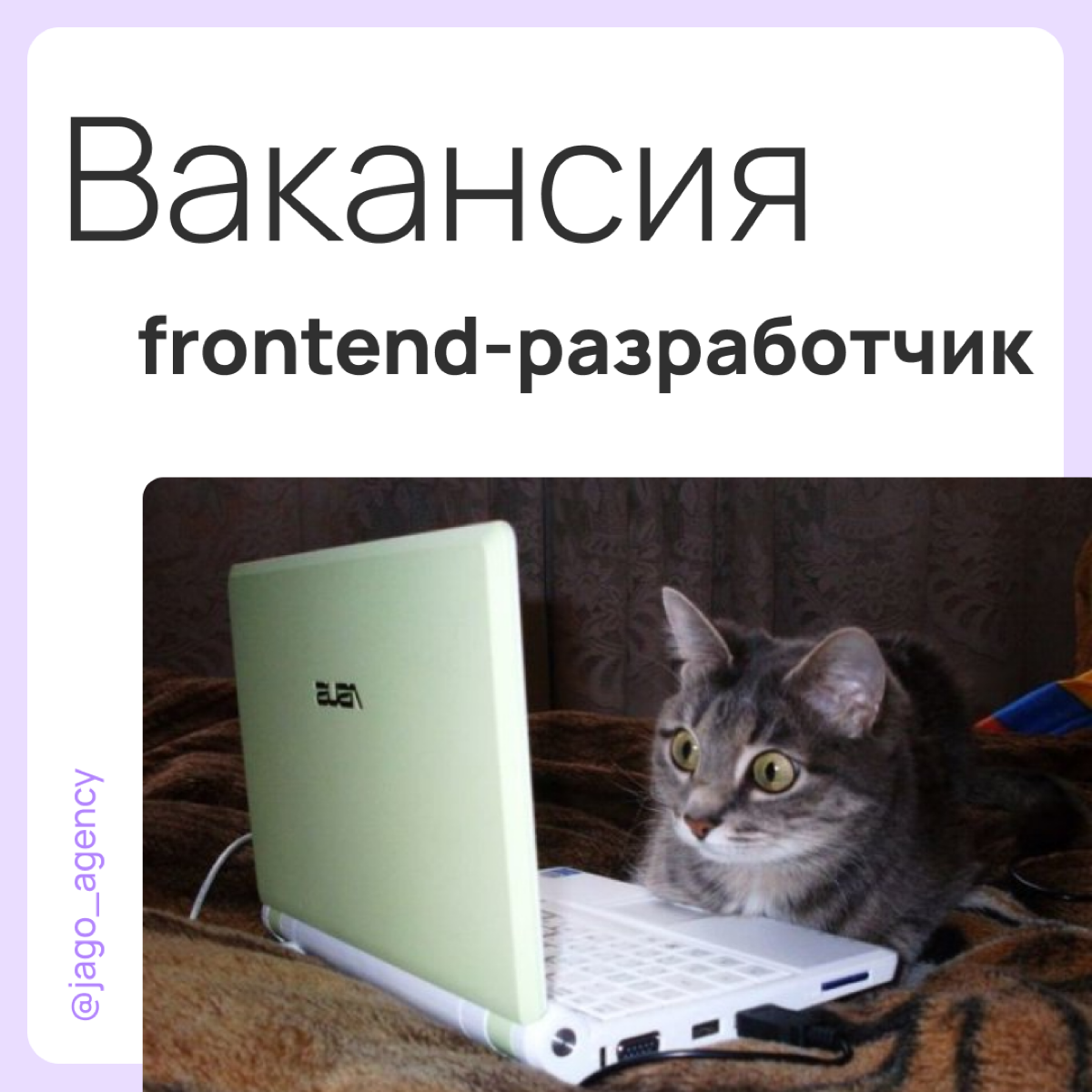 👀 В поисках frontend-разработчика | Сетка — социальная сеть от hh.ru