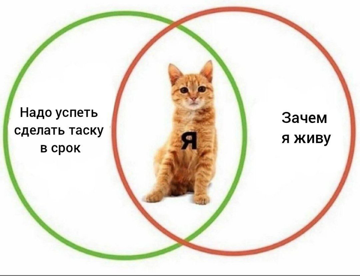 коллеги, ну жиза же | Сетка — социальная сеть от hh.ru