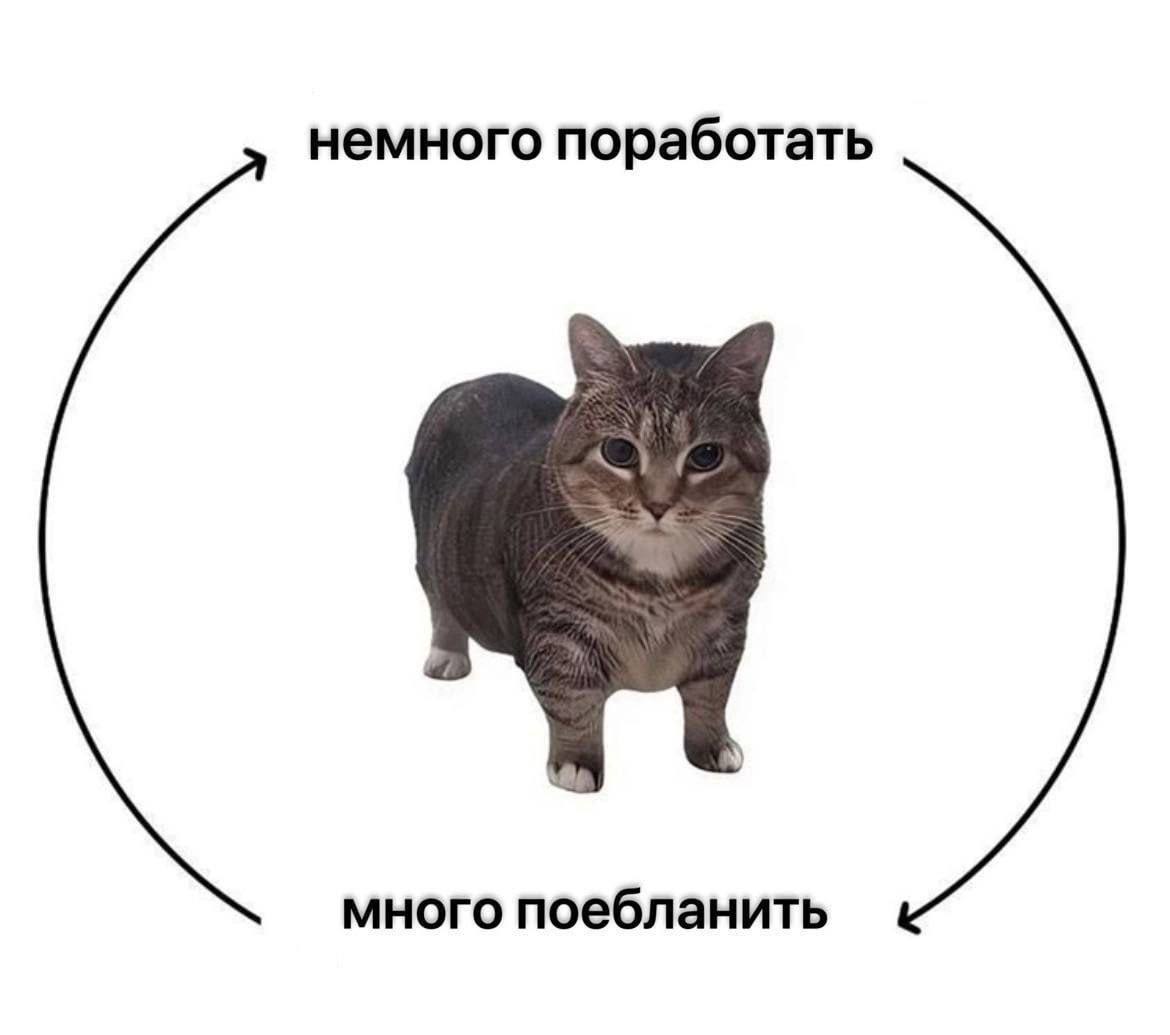 Середина недели требует мемов | Сетка — социальная сеть от hh.ru