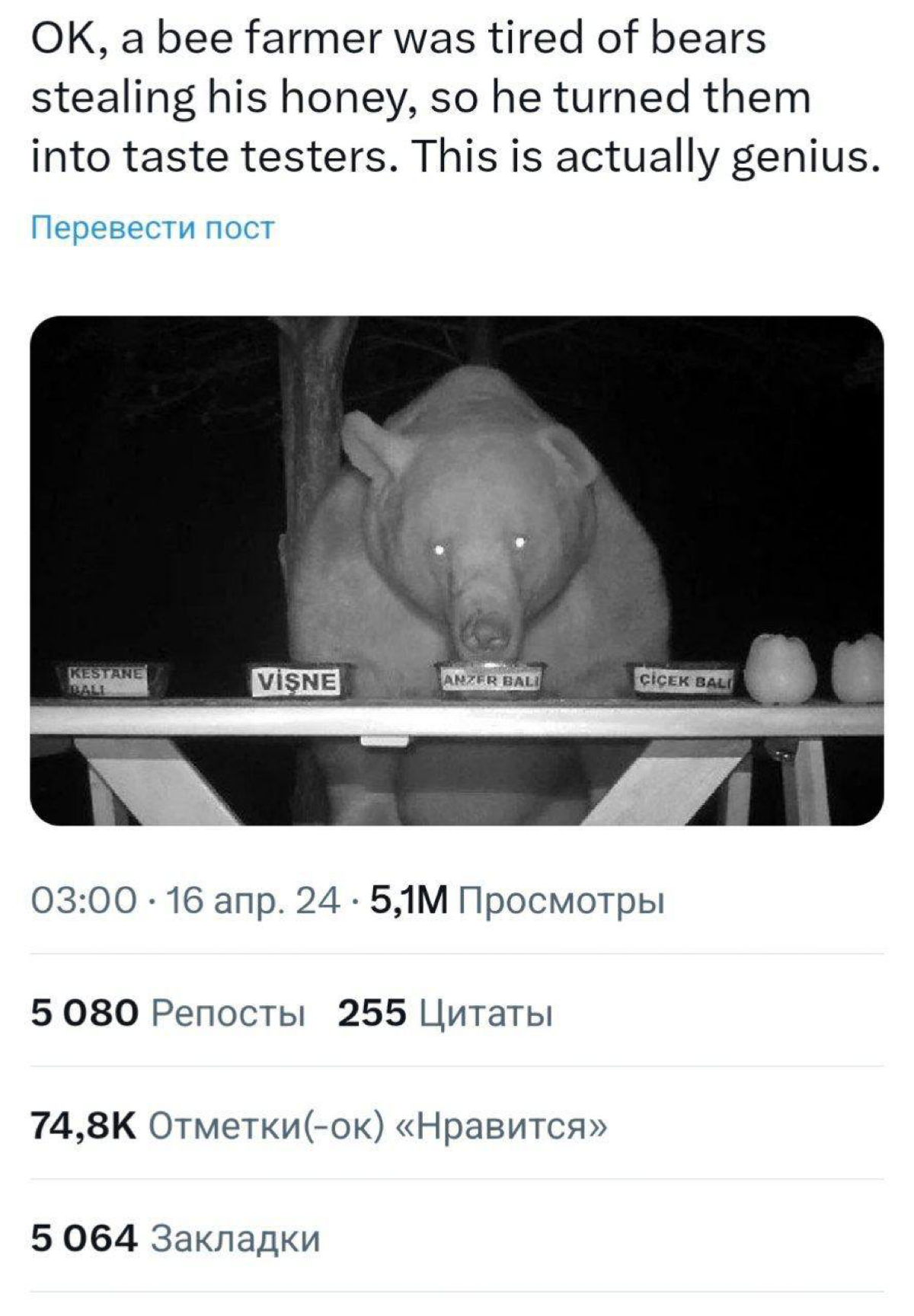Фермер в Америке столкнулся с необычной проблемой — медведи крали у него мед 🍯
Он решил специально оставлять образцы разных сортов меда и установил камеру для видеотрансляции, чтобы фиксировать, какой... | Сетка — социальная сеть от hh.ru