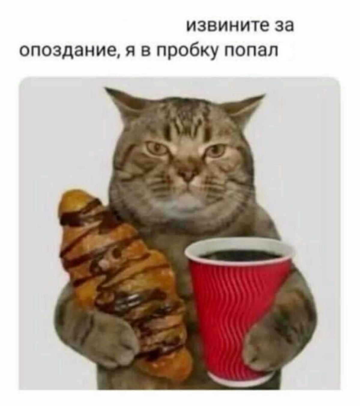 Сегодня отмечается День опозданий. В этот день можно опаздывать на законных основаниях. IT | Сетка — социальная сеть от hh.ru