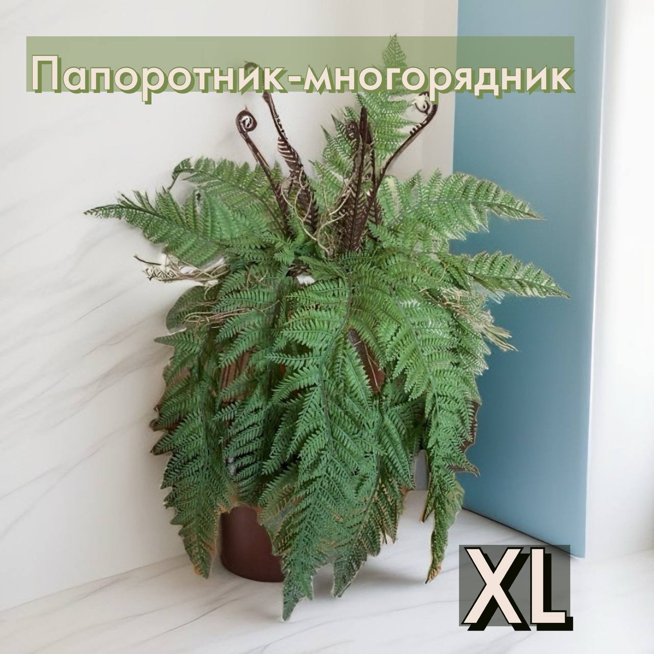 Папоротник Многорядник 60 см.
Большая розетка папоротника
Преобразите свое пространство с этим красивым искусственным папоротником | Сетка — социальная сеть от hh.ru