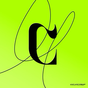 CRISP | Студия Дизайна