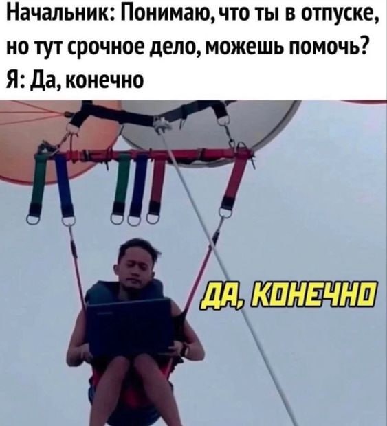 ➡️ отправь в телеге мем коллеге | Сетка — социальная сеть от hh.ru