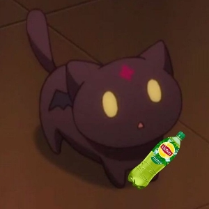 Дмитрий Коратыгин