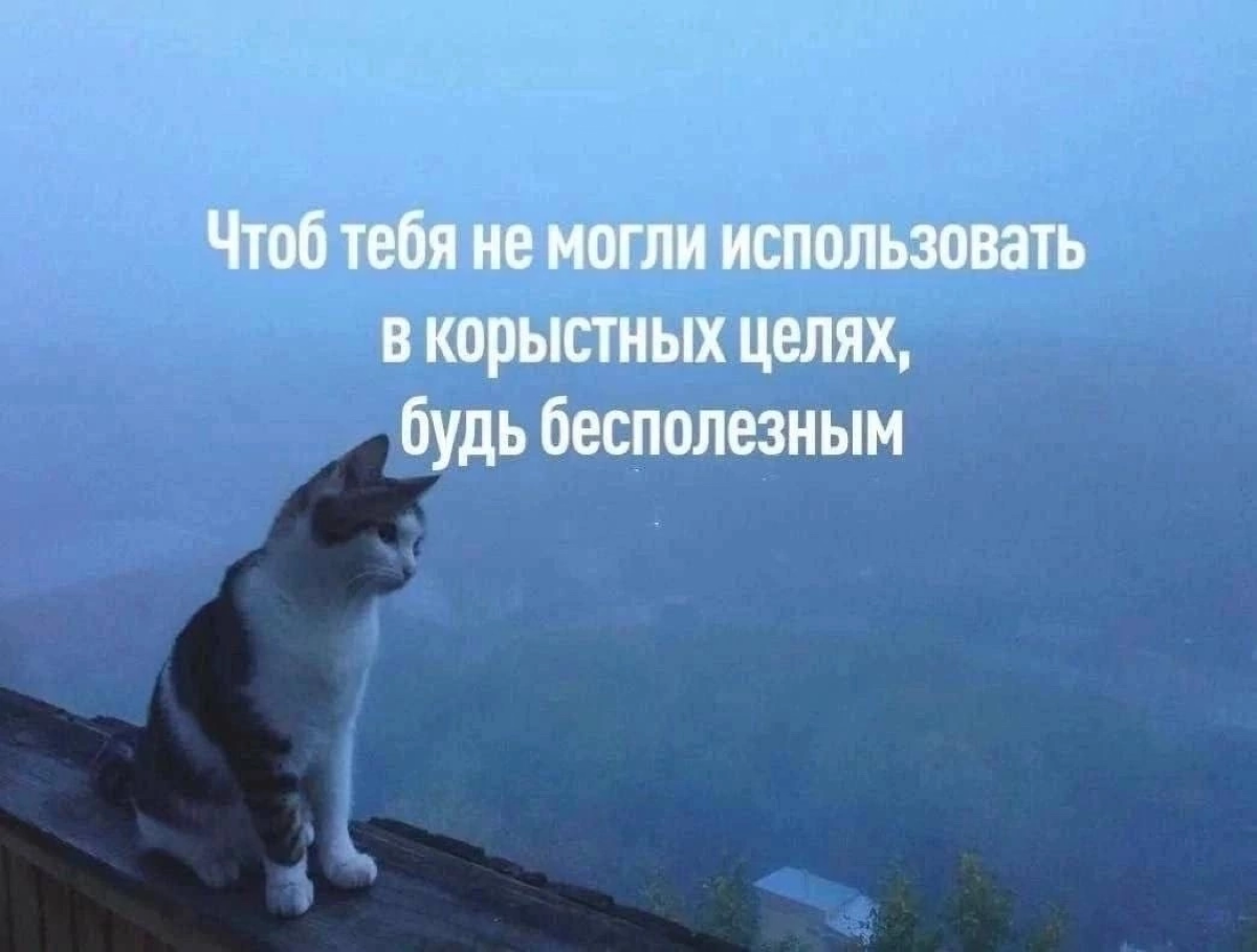 #мемдня Не указывай мне. Ты мне не мать! | Сетка — социальная сеть от hh.ru