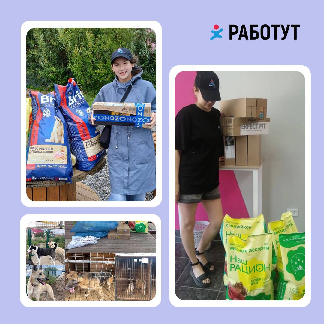 Отмечаем Международный День Благотворительности!
Работут регулярно устраивает благотворительные выезды в приюты для животных в разных городах России: привозим корма и проводим время с нашими маленьким... | Сетка — социальная сеть от hh.ru