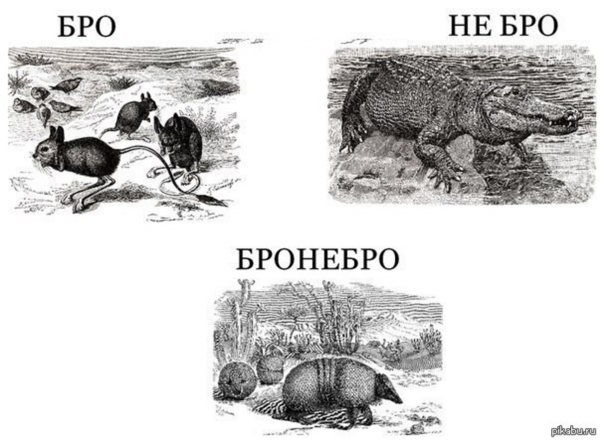 Вспомнил тут старый прикол 😁 | Сетка — социальная сеть от hh.ru