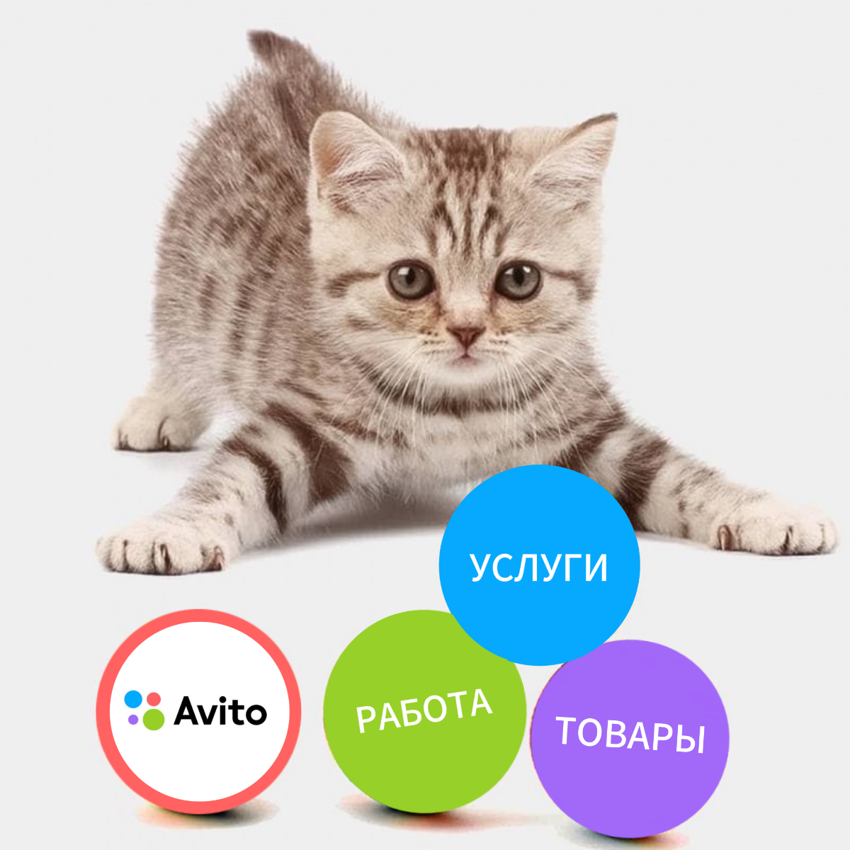 Обновление автозагрузки | Сетка — социальная сеть от hh.ru