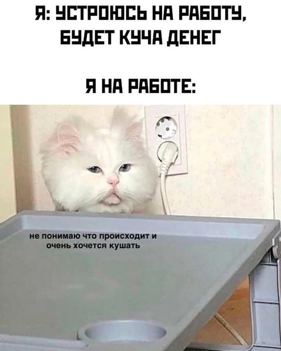 ➡️ отправь в телеге мем коллеге | Сетка — социальная сеть от hh.ru