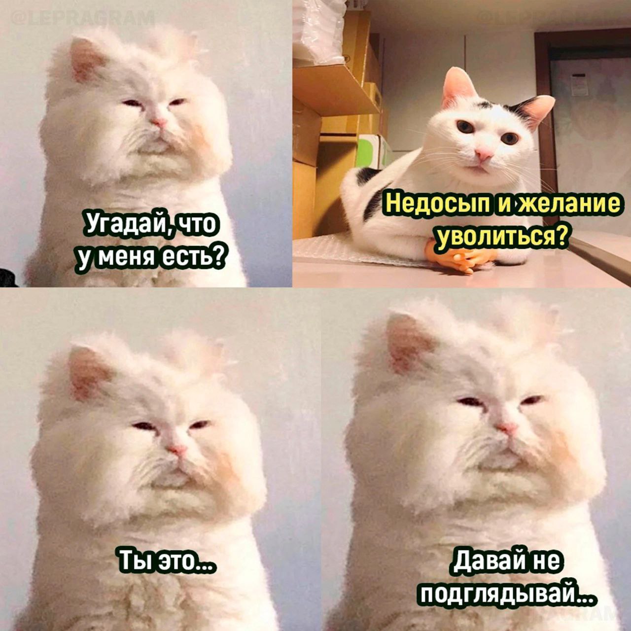 Сегодня пятница, а это значит пора обмениваться мемами! На прошлой неделе был самый популярный мем от Екатерины и Марии они👆
Спасибо за активность!)
Публикуй мемы в комментариях и голосуй за другие лю... | Сетка — социальная сеть от hh.ru