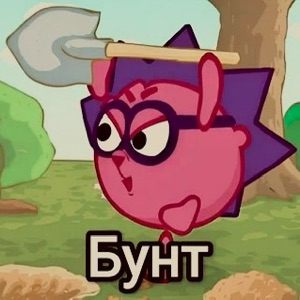 Тимур Медведев