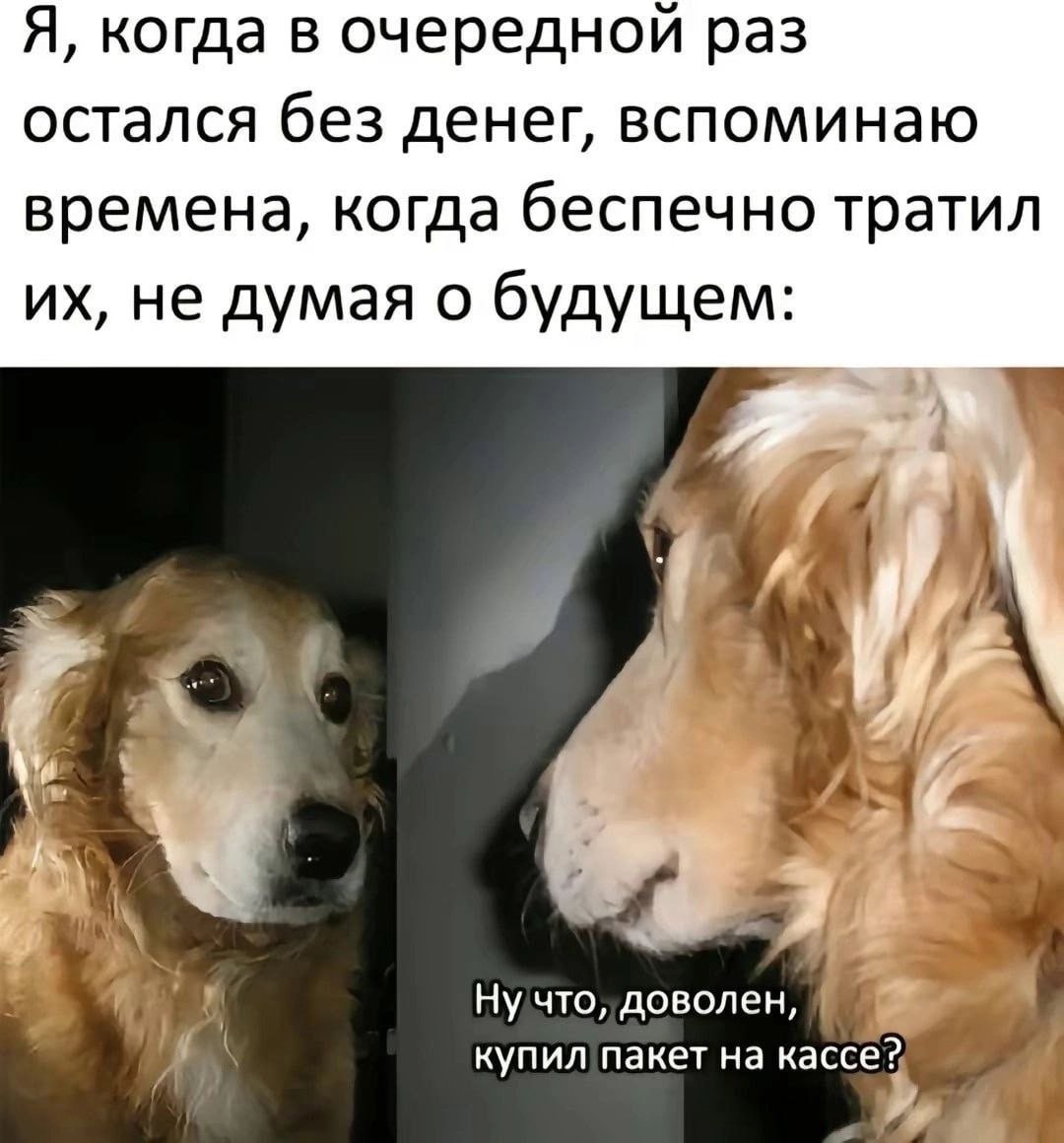 ➡️ отправь в телеге мем коллеге | Сетка — социальная сеть от hh.ru