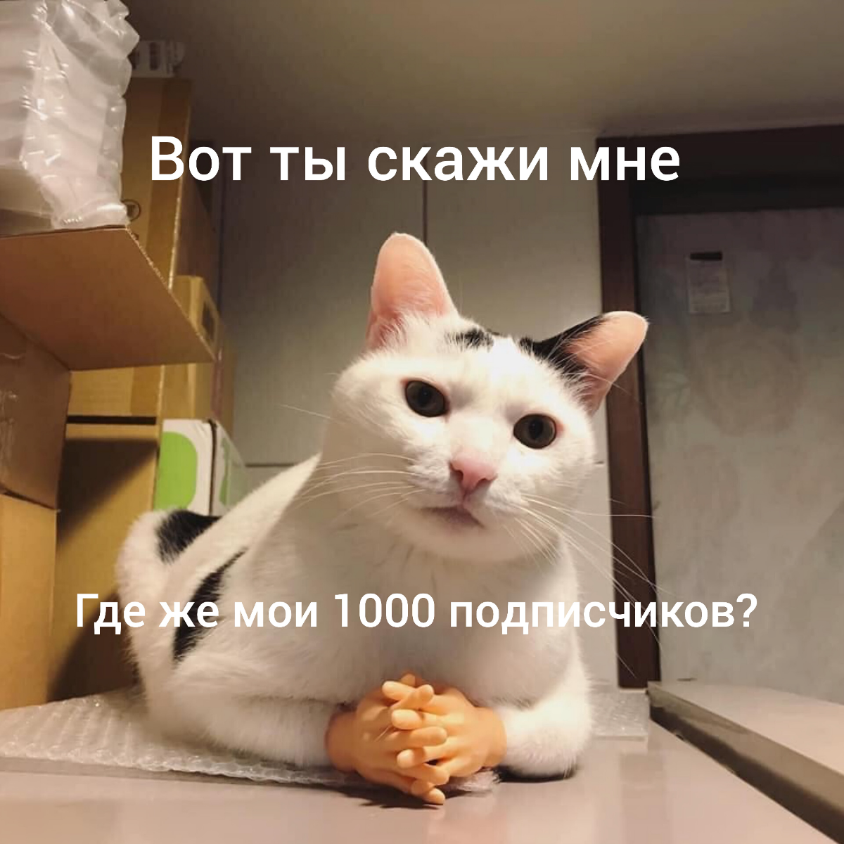 И вправду 🤔 | Сетка — социальная сеть от hh.ru