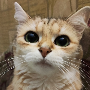 Дмитрий П-Р