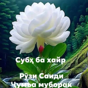 Саймахмад Саидов