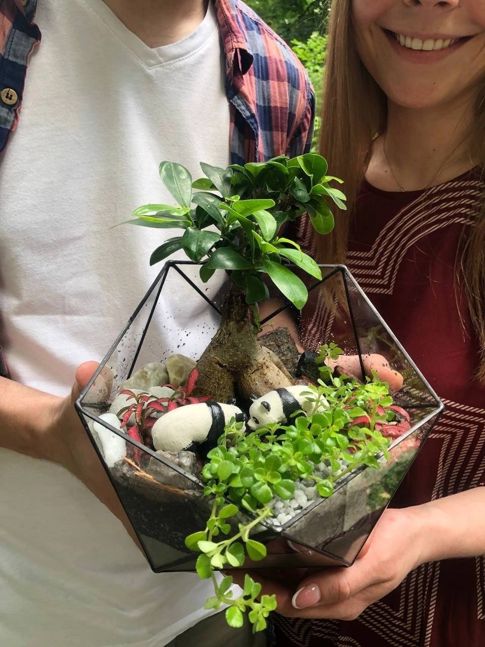 🫂 Интересные мастер-классы для всей семьи в Москве в шоуруме Florarium Flo
Вы самостоятельно создадите композицию из растений, отдохнете от городской суеты, узнаете особенности ухода и содержания выбр... | Сетка — социальная сеть от hh.ru