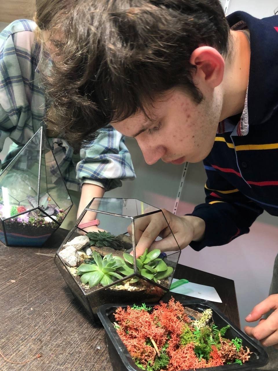 🫂 Интересные мастер-классы для всей семьи в Москве в шоуруме Florarium Flo
Вы самостоятельно создадите композицию из растений, отдохнете от городской суеты, узнаете особенности ухода и содержания выбр... | Сетка — социальная сеть от hh.ru