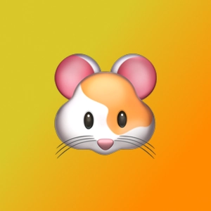 Магомед Муталиев | Сетка — социальная сеть от hh.ru