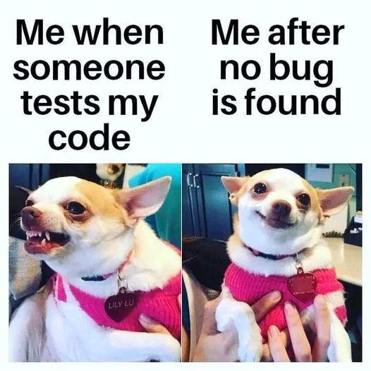 #memPVS #bug #programming | Сетка — социальная сеть от hh.ru