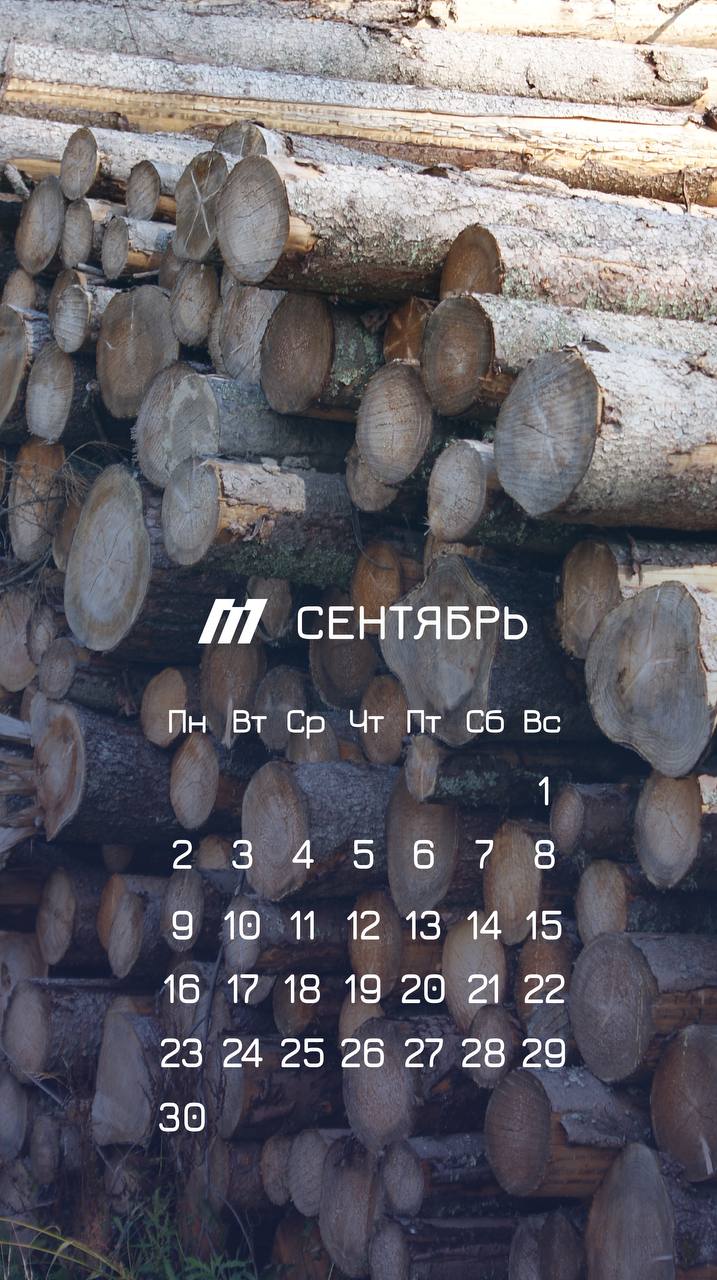 Сделали для вас подборку осенних заставок для телефона 📱
📌Скачать в хорошем качестве | Сетка — социальная сеть от hh.ru