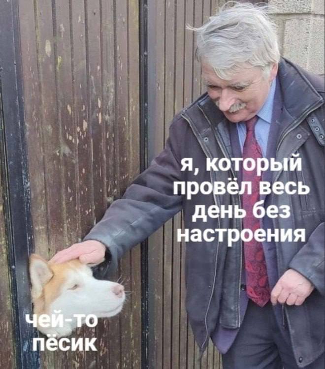 Хватит текстов, вот картинка) | Сетка — социальная сеть от hh.ru