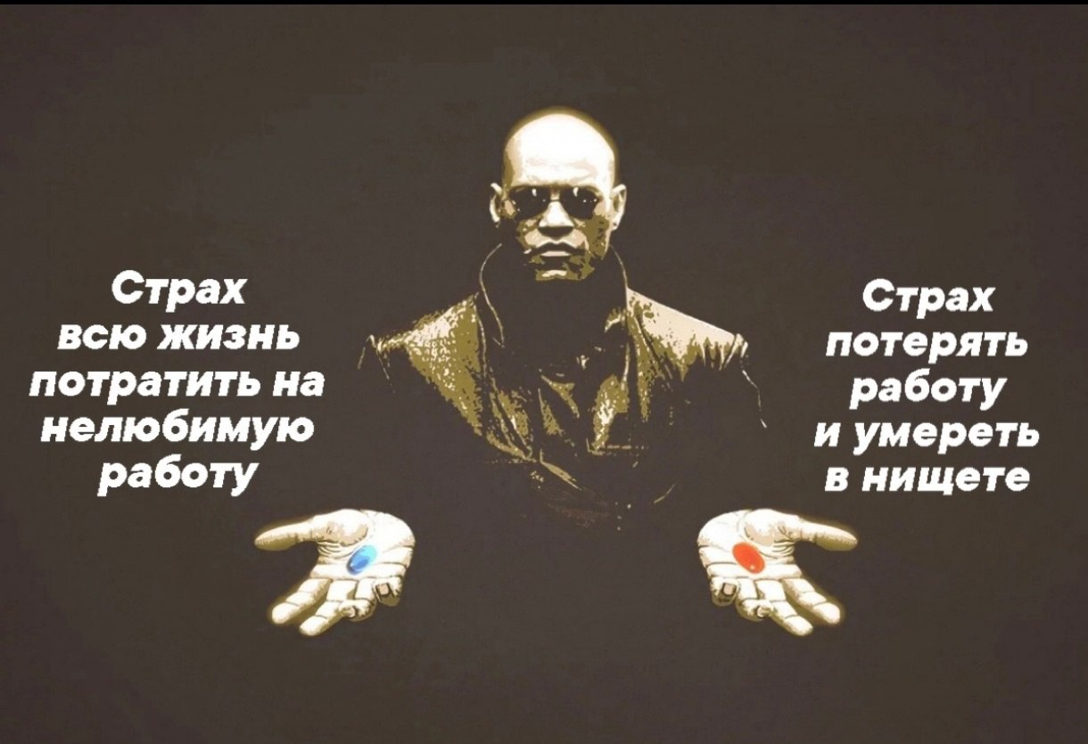 Выбор прост, но не очевиден. | Сетка — социальная сеть от hh.ru